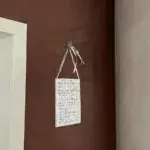 Kalkkind Sumpfkalkputz