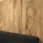 Kalkkind Sumpfkalkputz