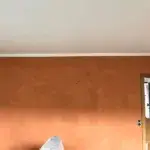 Kalkkind Sumpfkalkputz