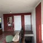 Kalkkind Sumpfkalkputz